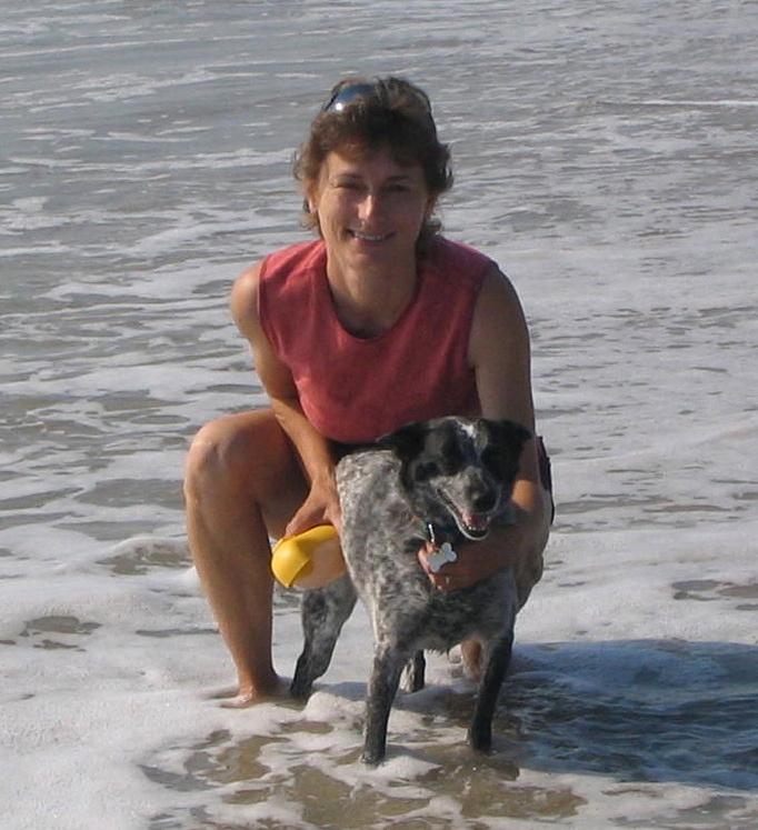 PlayTime Pet Sitters & Dog Walkers Colorado Springs CO 80909 719